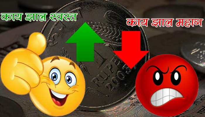 राज्यात काय झाले स्वस्त आणि काय झाले महाग