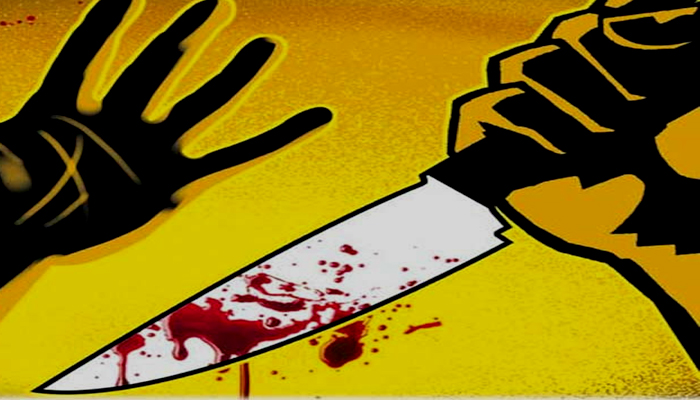 पिंपरीत भाजप आमदाराच्या मुलीवर प्राणघातक हल्ला पिंपरीत भाजप आमदाराच्या मुलीवर प्राणघातक हल्ला