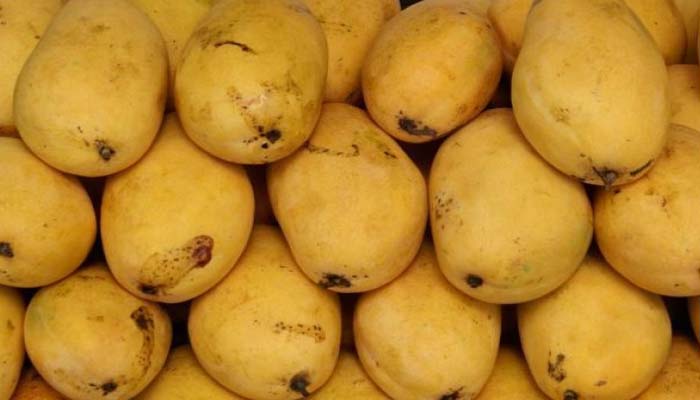 ऑस्ट्रेलियात होणार प्रथमच भारतीय आंब्यांची आयात