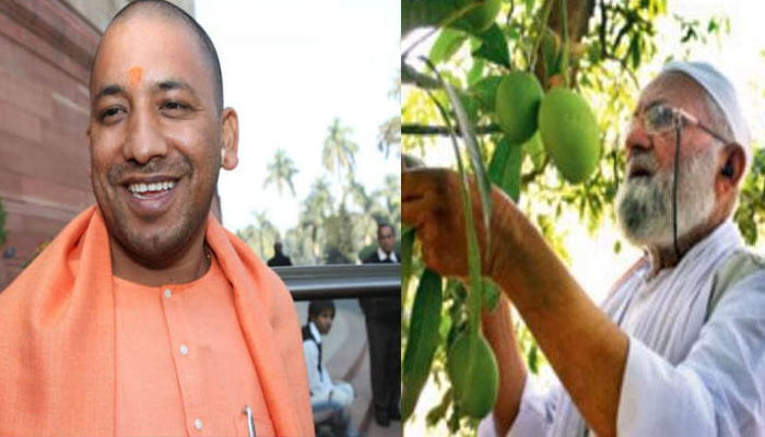 या उन्हाळ्यात अस्वाद घ्या “योगी मॅंगो’’ चा…