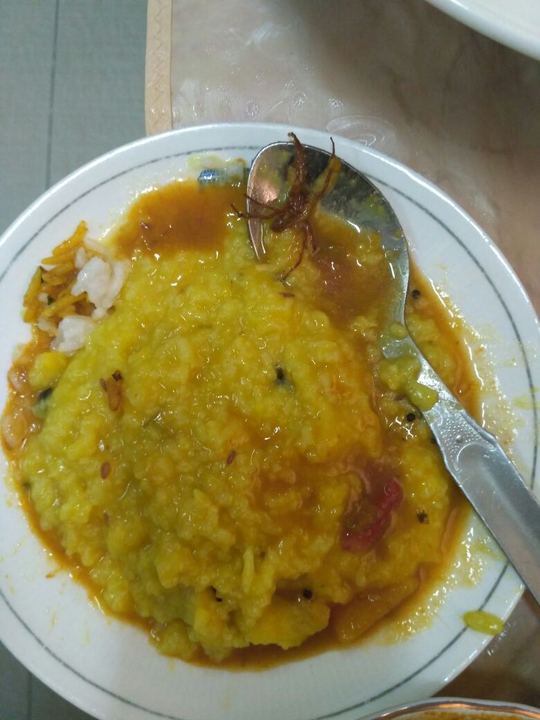 दिल्ली – संसदेच्या  कॅन्टीनच्या जेवणात आढळले झुरळ !