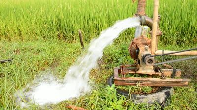 कृषीपंपाचे वीज बिल सक्तीने वसूल करण्याचे ऊर्जा मंत्र्यांचे आदेश !