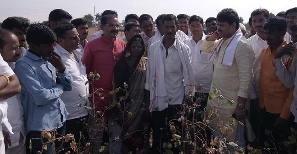 केवळ घोषणा आणि मागण्यांशिवाय सरकार काय करतय ?, धनंजय मुंडेंचा सरकारवर हल्लाबोल ! केवळ घोषणा आणि मागण्यांशिवाय सरकार काय करतय ?, धनंजय मुंडेंचा सरकारवर हल्लाबोल !