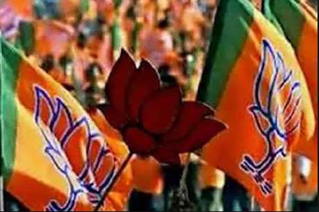 “लोकसभा निवडणुकीत भाजपला ३०० पेक्षा अधिक जागा मिळतील ।”