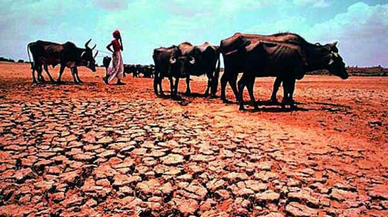 महाराष्ट्रातील दुष्काळ निवारणासाठी केंद्राकडून आणखी मदत ! महाराष्ट्रातील दुष्काळ निवारणासाठी केंद्राकडून आणखी मदत !